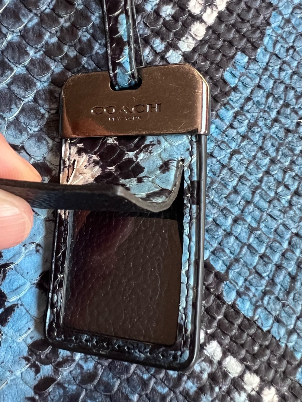 Coach Gramercy Blue Python Satchel - Picture 15 of 16